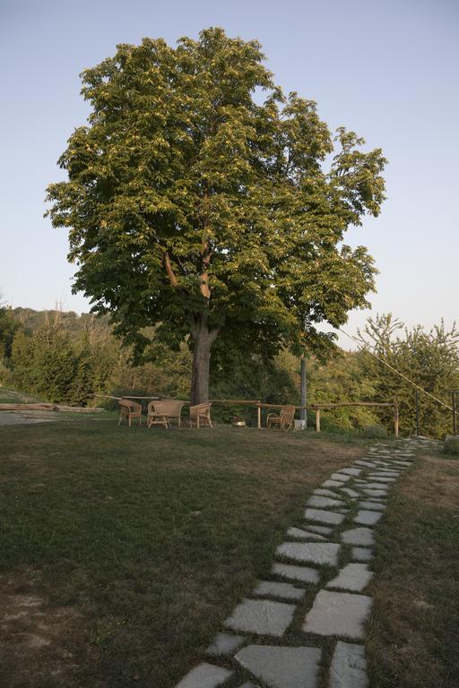 Crealto Villa Alfiano Natta Dış mekan fotoğraf