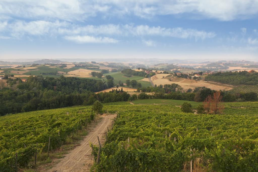 Crealto Villa Alfiano Natta Dış mekan fotoğraf